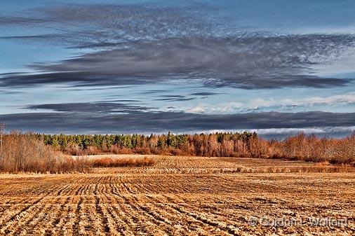 Fieldscape_08861.jpg - Photographed near Chantry, Ontario, Canada.